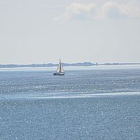 Chefsache: Wollen wir nicht nach New York ziehen?