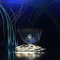 Chefsache: Was für ein Zirkus